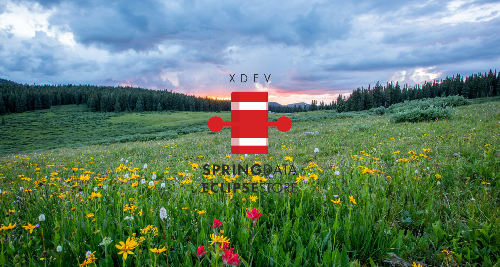 Minimize Costs by Utilizing Cloud Storage with Spring-Data-Eclipse-Store