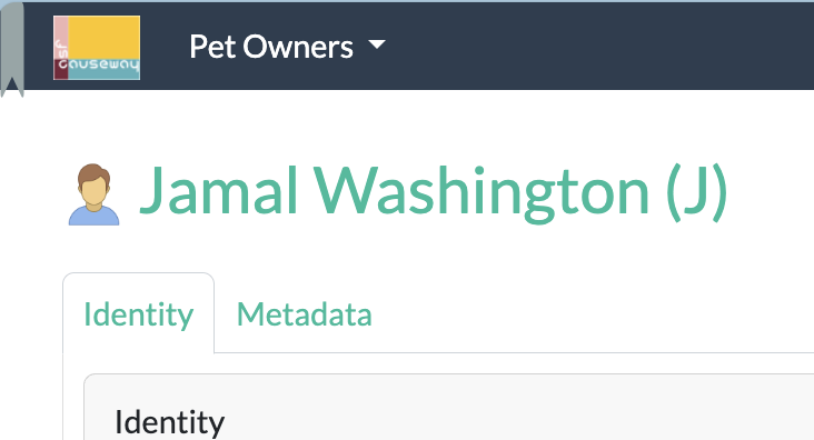 Apache Causeway - going further - domain object title